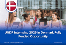 UNDP Internship 2026 in Denmark Fully Funded Opportunity